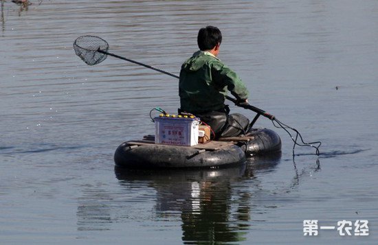 农业农村部对电鱼行为进行专项打击
