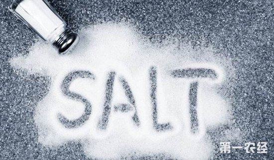 深圳市民赴港买盐 加碘盐真的对健康有害吗？