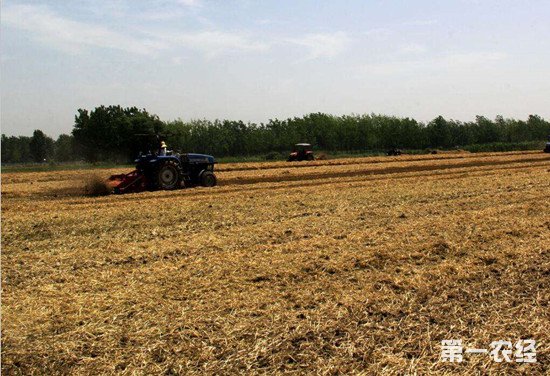 吉林省投入3.2亿资金推进秸秆还田 环保增肥一箭双雕