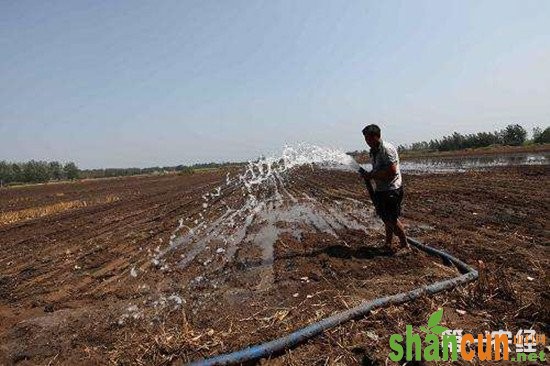 今年黄淮地区降水较少 农业农村部派工作组指导抗旱