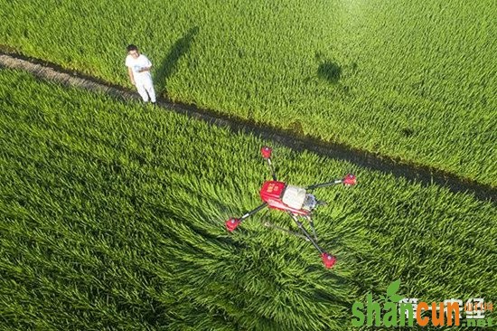 中国农业科技发展报告 展示中国农业科技发展成果