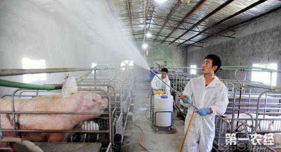 农业部副部长现场指导：严防非洲猪瘟 保障养猪场安全