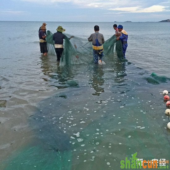 长江干流捕捞产量不足10万吨 长江生态保护刻不容缓