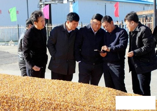 黑龙江省以筹备800亿资金 保障收粮工作顺利进行