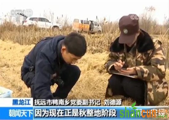 黑龙江抚远一农民在翻地 旁边路过一头野生东北虎