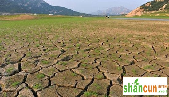农业农村部派出专家组赴黑龙江内蒙古展开抗旱工作