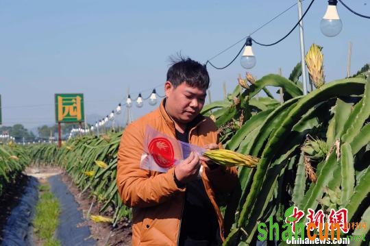 年薪二十余万的新式“农民”