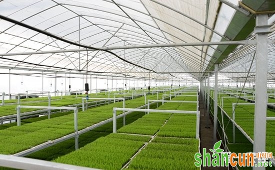 宁夏：部署现代农业科技创新示范区建设  打造先进的农业科技园区体系