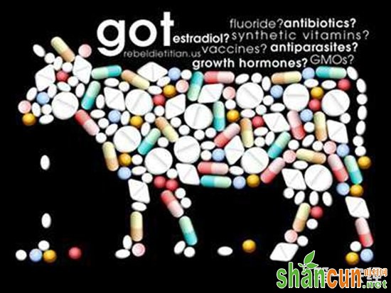 新型饲用抗生素替代品创制获科技奖  助力解决动物病原菌感染等问题