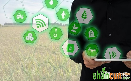 黑龙江：建立农业物联网大数据体系  助力智慧农业发展