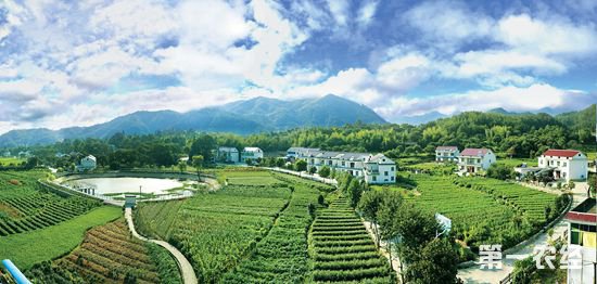 安徽岳西：科技帮助当地发展山区生态型蔬菜