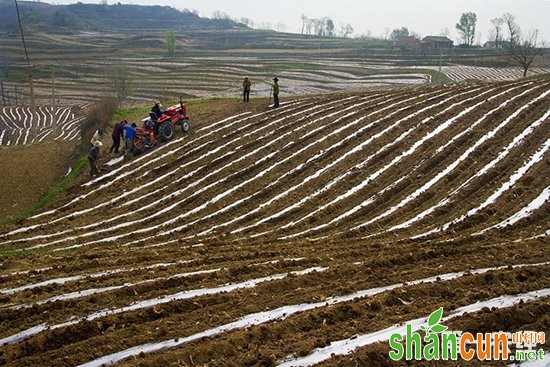 陕西淌泥河：科技助旱塬地膜玉米增产