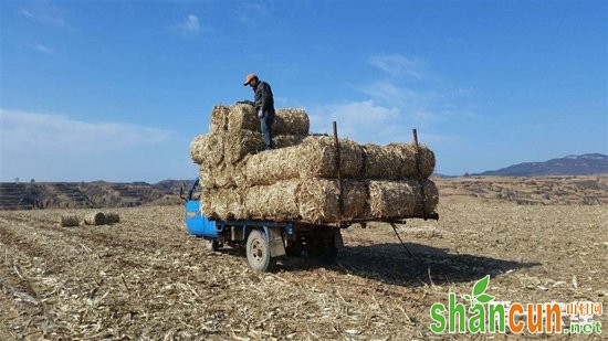 黑龙江七星镇：农机成秸秆打包离田工作的“中坚力量”