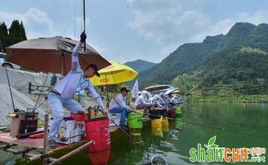 贵州松桃：大力发展水产养殖 生态水成“致富水”