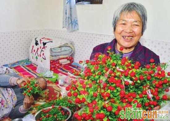 昔阳：仿真花不是真花仍成“致富花”