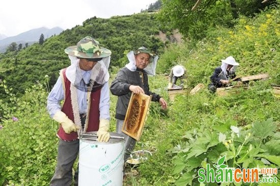 泸州叙永：要致富先修路 多元产业促农增收致富