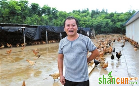 尹安平：桂花林养鸡打造绿色致富好“钱”程