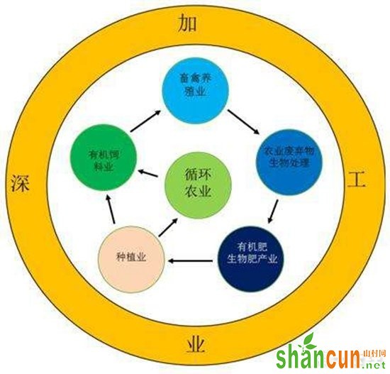 陕西山阳：生态产业链带领乡亲脱贫致富