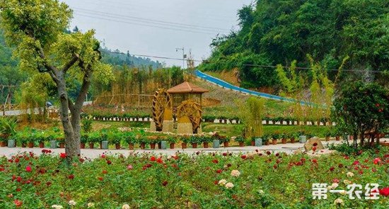 贵州双谷村：沥青路为山村送来“真金白银”