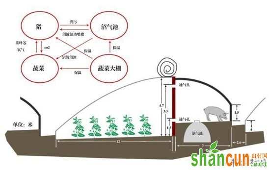 山东桓台县：“四位一体”生态农业大棚促农增收致富