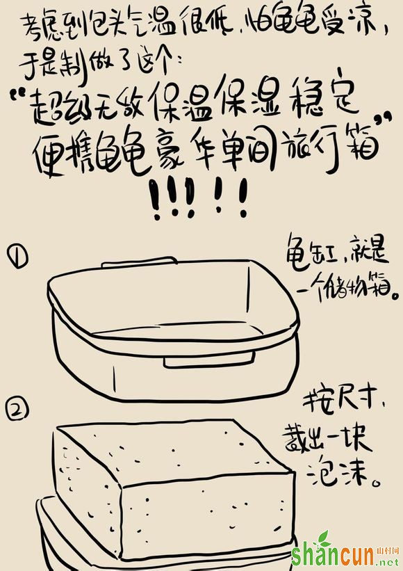 春节如何把龟打包带回家？【漫画图解】