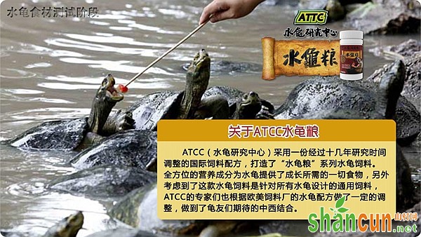 ATCC,ATCC水龟粮,水龟研究中心