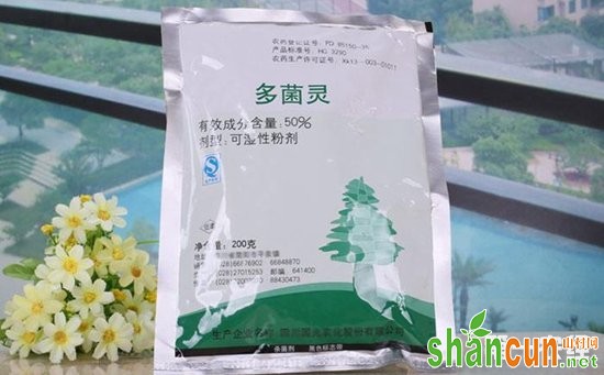 多菌灵主治哪些病害？多菌灵对花卉的作用