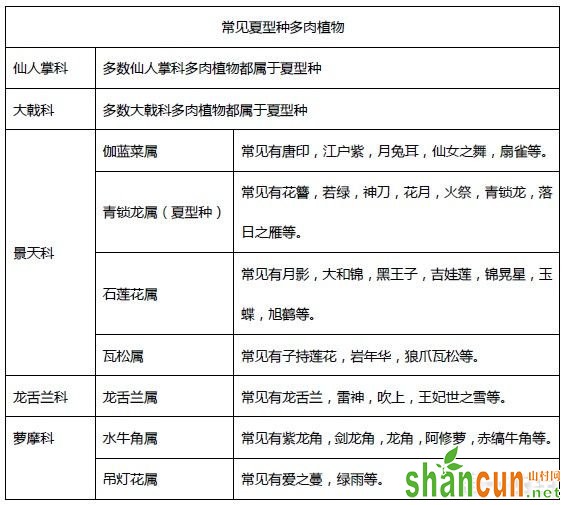 多肉度夏妙招、多肉度夏注意事项