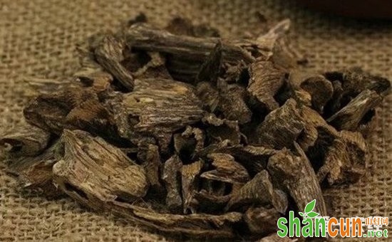 白木香是沉香吗？白木香和沉香的区别