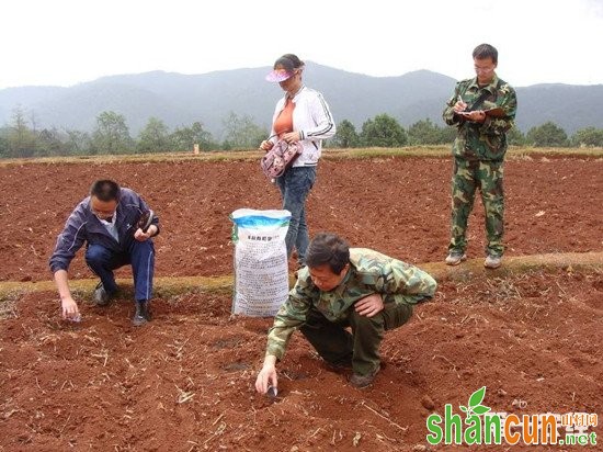 大豆基肥的选择和施用方法