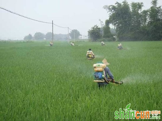 雨季施农药怎么尽量保持药效？雨季农药施用技巧