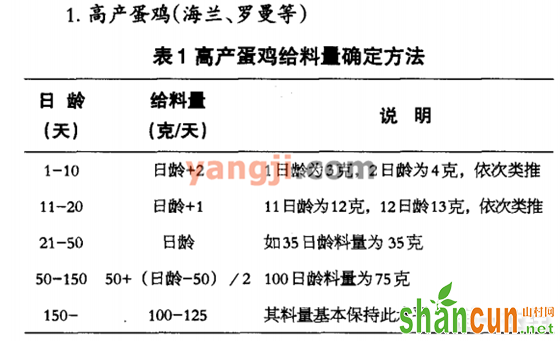 山村网养鸡网