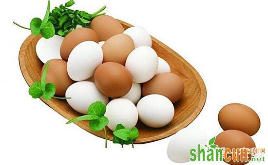 鸡蛋的主要构造是什么？