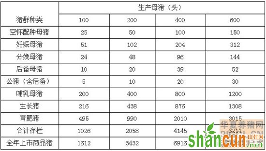 猪群互相咬斗原因、合理猪群结构