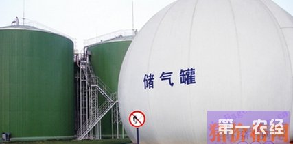 连江一养猪场建起沼气发电站 日发电2000瓦