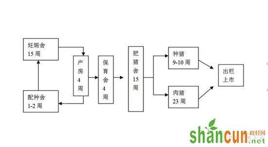 聚焦：养猪场生产工艺程序