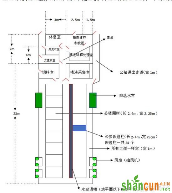 标准化公猪舍建设设计图