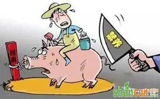 养猪场要是遭遇禁养关停，养殖户该如何维权？
