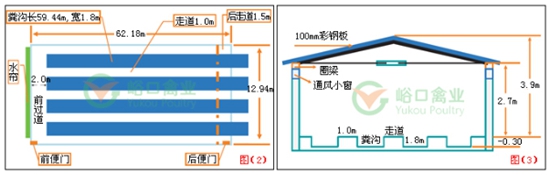 育成鸡舍设计图（图片）