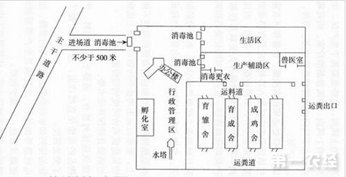 养鸡场布局图