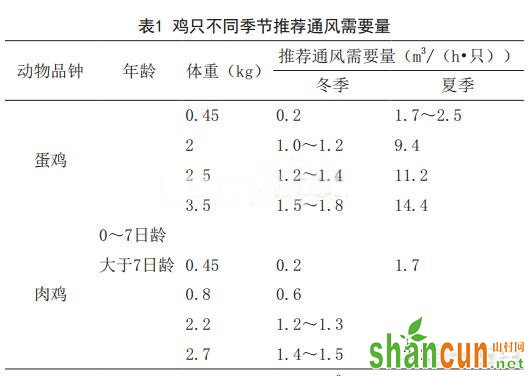 山村网养鸡网讯