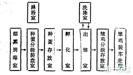 山村网·孵化厂建筑设计流程图