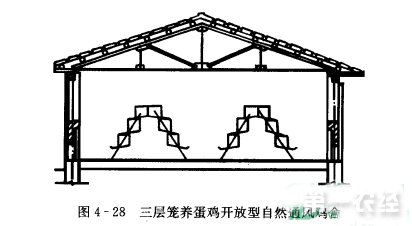 山村网·开放型鸡舍建筑设计图