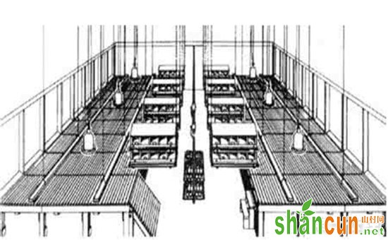 养鸡场建设