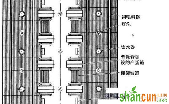 养鸡场建设