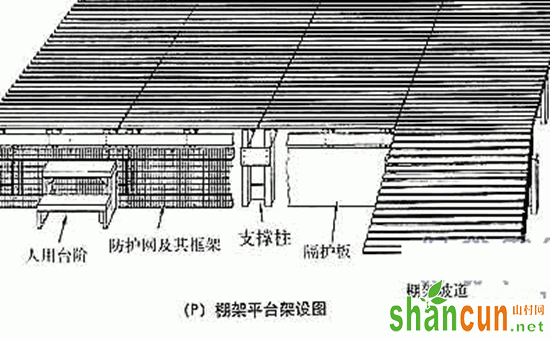 养鸡场棚架布置示意图