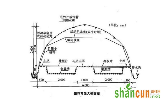 塑料大棚鸡舍建设规范与设计图