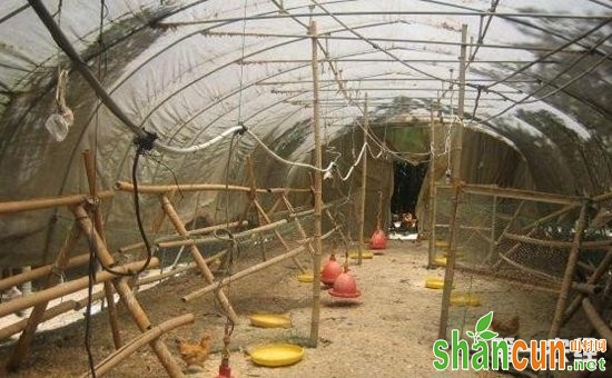 怎样搭建鸡舍栖息架？鸡舍栖架的搭建（图片）