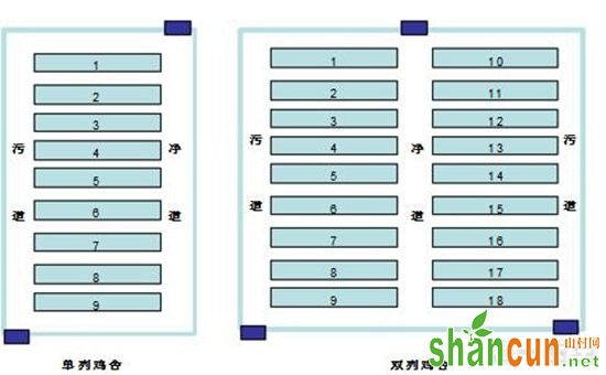 鸡舍通道怎么设置？