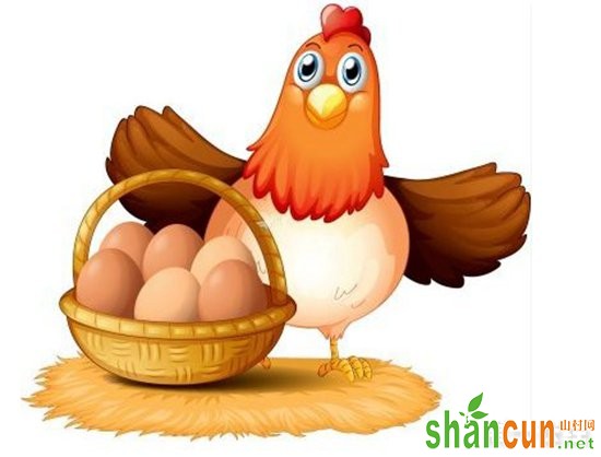 蛋鸡产蛋期间遇到换季如何做好鸡舍内的通风管理